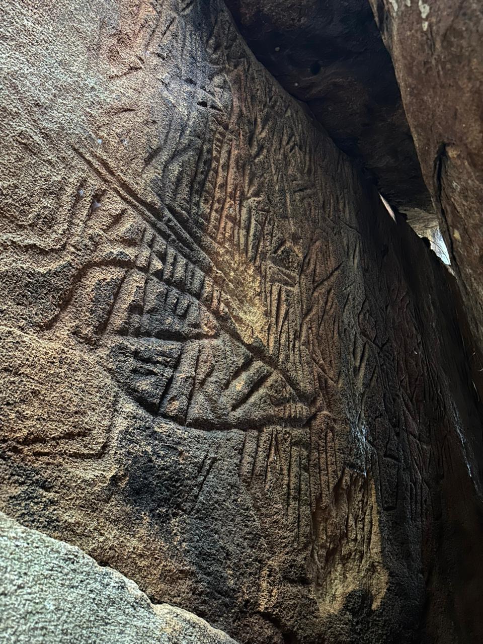 Danigala Gallery Image